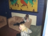 DSC02618
