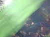 DSC03164