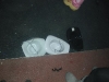 DSCN4739_ir_0